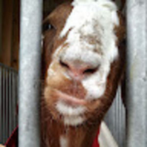 Meet your Posher, Mayra